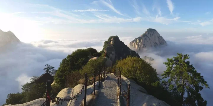 Culture & Tourism Payment and Settlement Case